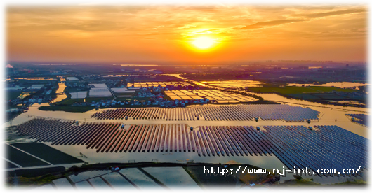 1668996917396199oZEB.png 20221121101343.png